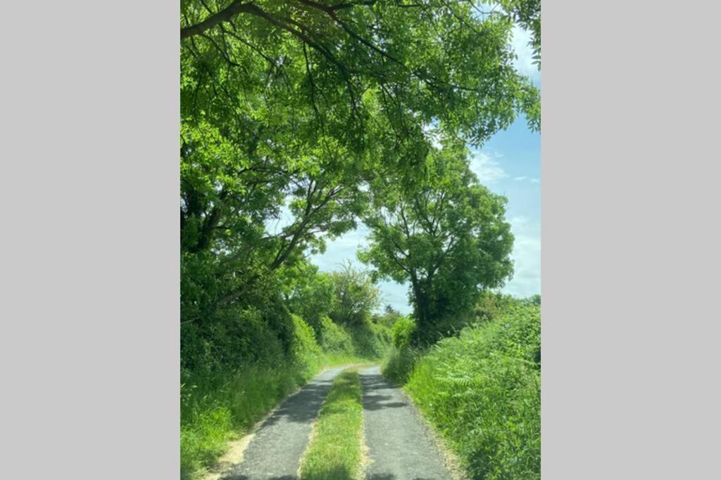Breathneach House Βίλα Limerick Junction Εξωτερικό φωτογραφία